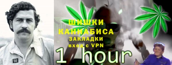 прущие крисы Лабытнанги