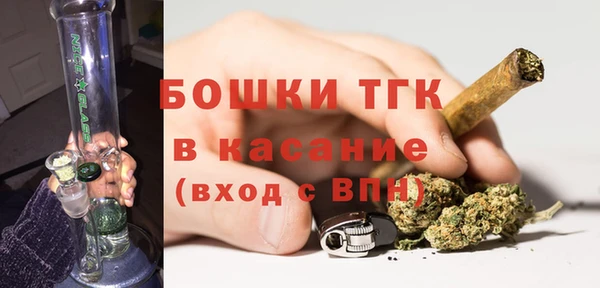 тгк Медногорск