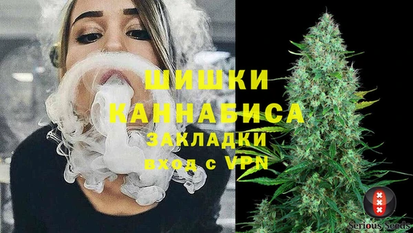 ECSTASY Лагань