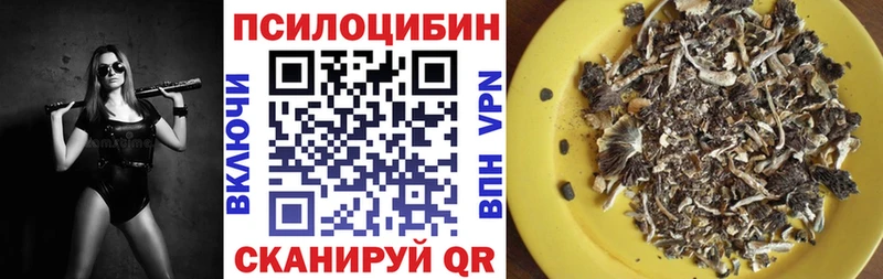 даркнет формула  Ликино-Дулёво  Галлюциногенные грибы Psilocybe  продажа наркотиков 